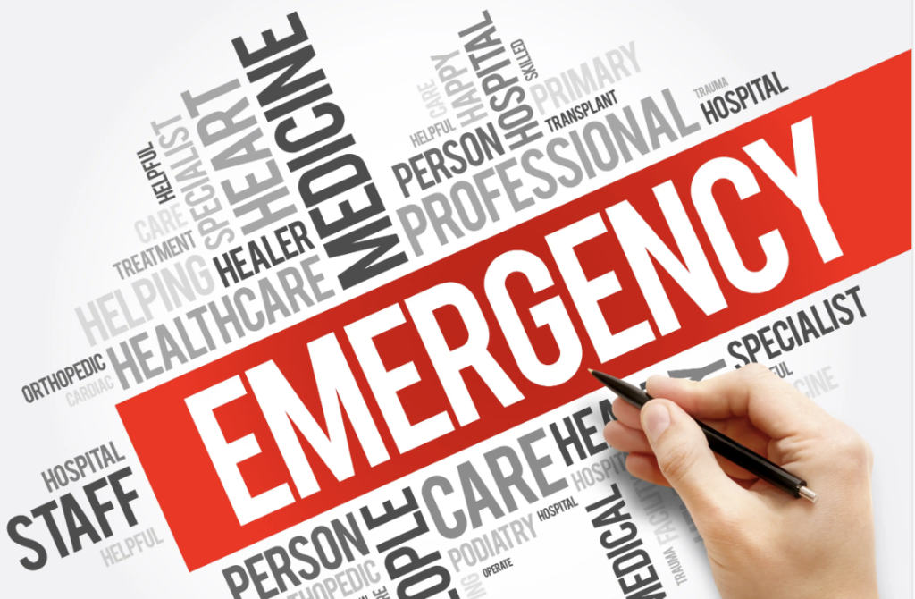 emergency-troubleshooting-for-WordPress - Seahawk Common-Emergency-WordPress-Issues
