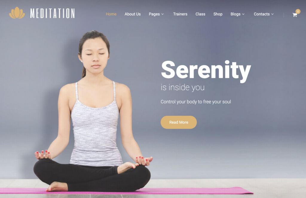 Meditation-theme-for-WordPress - Seahawk Meditation-pro-WordPress-theme