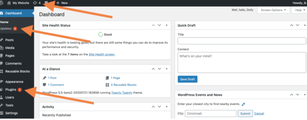 Screenshot-Capture-2024-08-13-17-01-55 - Seahawk update-wordpress-plugins