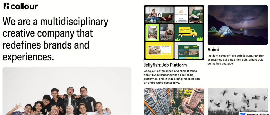 Screenshot Capture - 2024-08-26 - 18-15-55 - Seahawk Callout-digital-agency