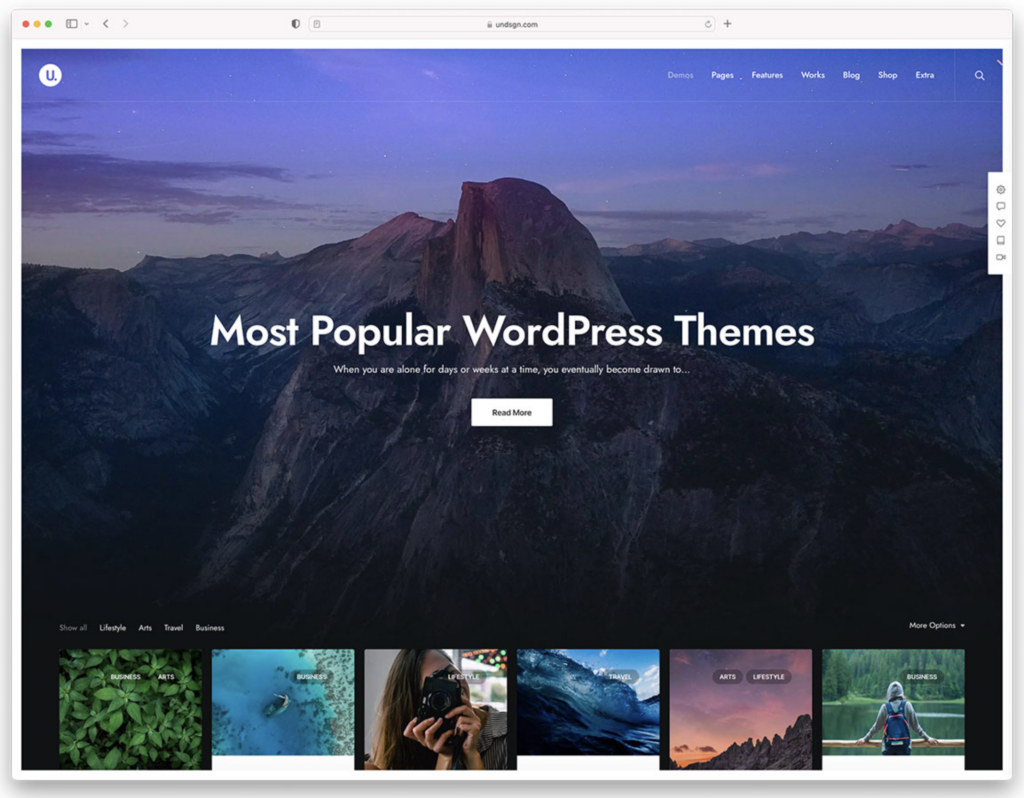 WordPress-forms - Seahawk intuitive-WordPress-forms