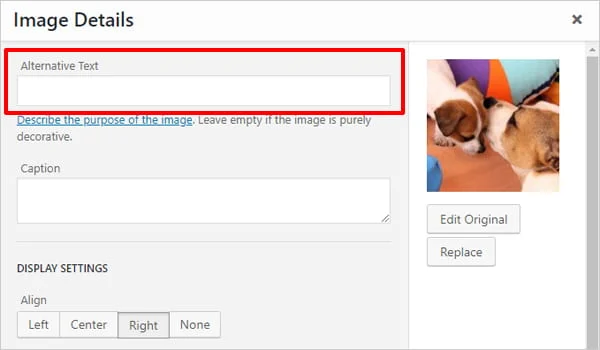 alt-text-for-WordPress - Seahawk alt-text-check
