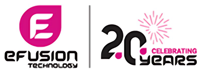 efusion technology - Seahawk efusion technology - website development company in Singapore