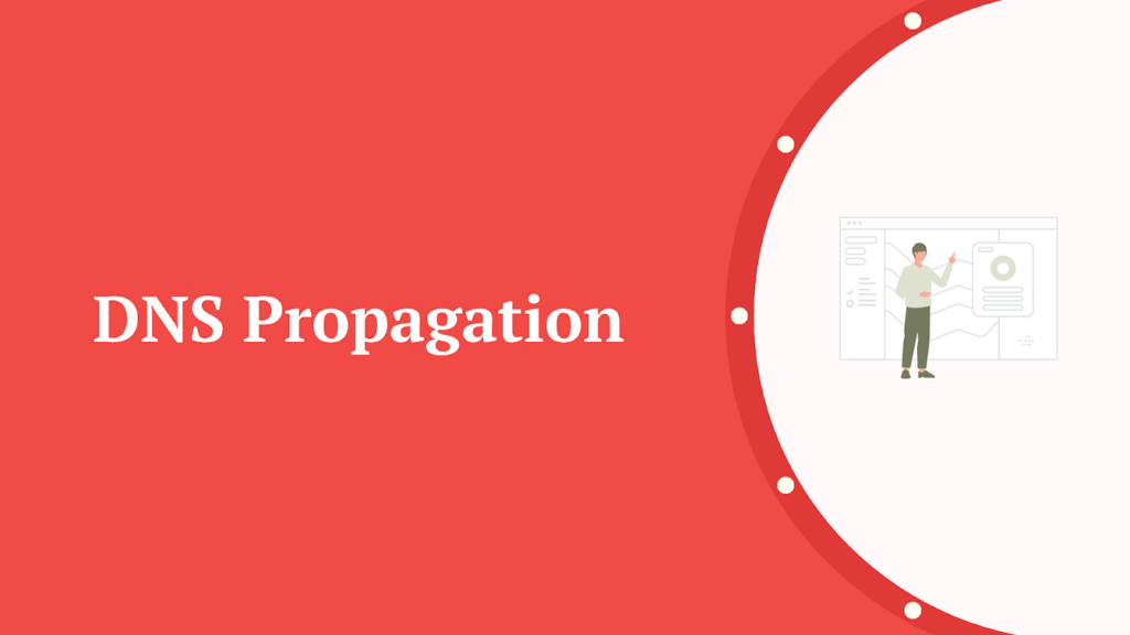 DNS - Seahawk DNS Propagation Causes During WordPress Migration