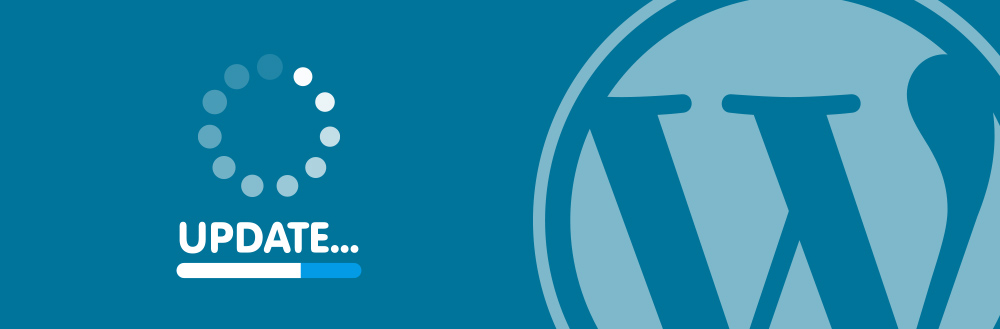 update wordpress - Seahawk update wordpress