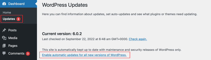 updating wordpress automatically - Seahawk updating wordpress automatically