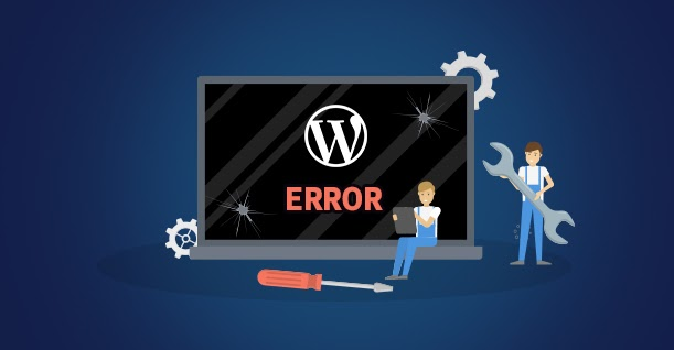 avoid common issues with wordpress updates - Seahawk avoid common issues with wordpress updates