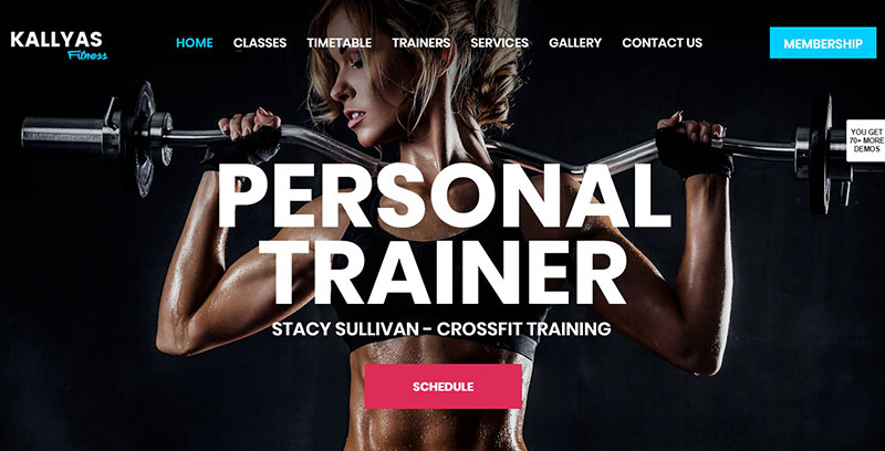 KALLYAS - Seahawk Kallyas Fitness