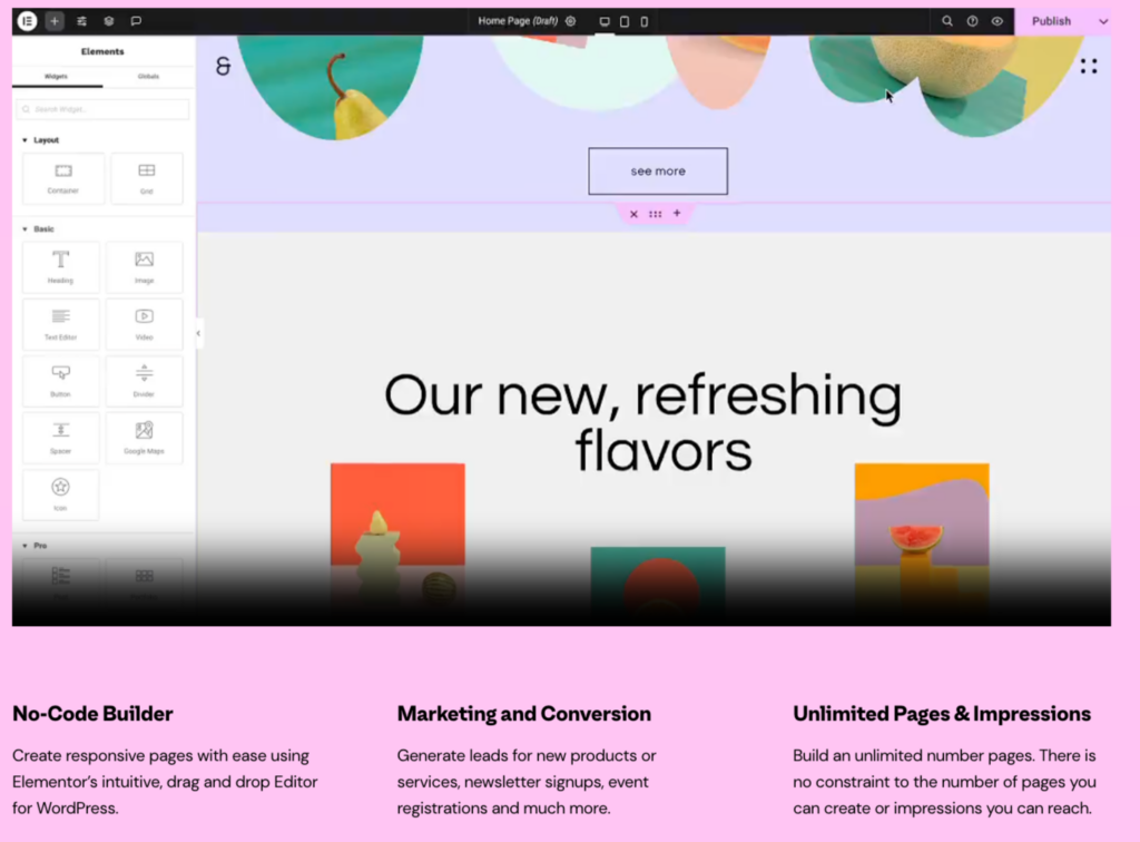 Screenshot Capture - 2024-09-23 - 17-40-38 - Seahawk create landing page in WordPress with Elementor