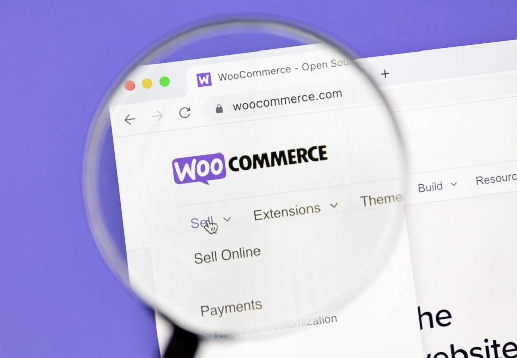 WooCommerce-priority-response - Seahawk WooCommerce-priority-response-vs-variable-timing