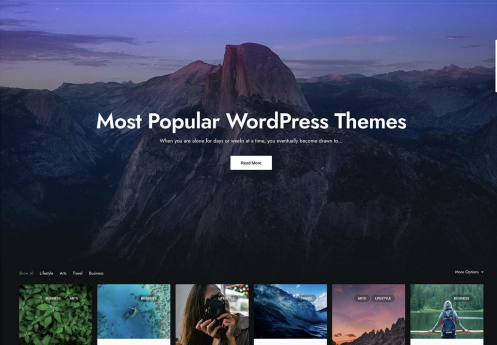 WordPress-themes - Seahawk WordPress-theme-with-built-in-background-options