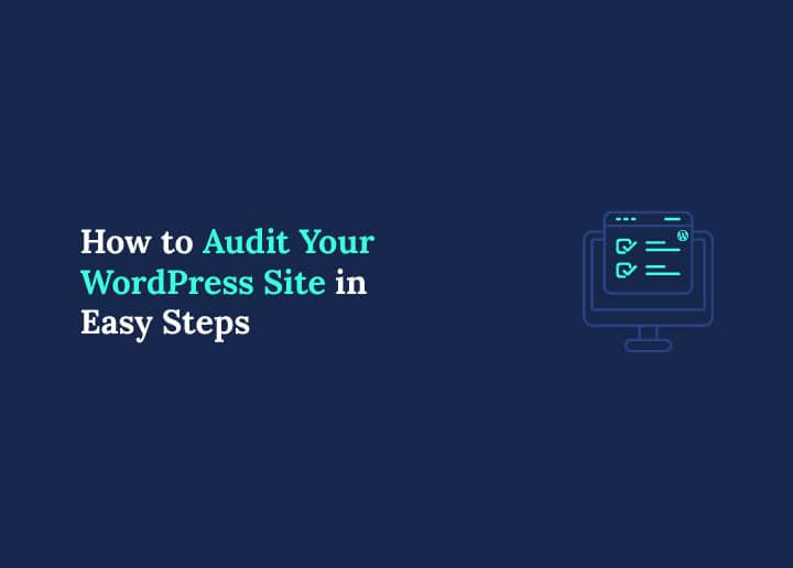 audit WordPress site