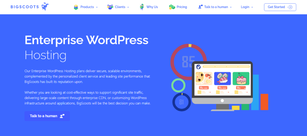 bigscoots-enterprise-wordpress-hosting - Seahawk bigscoots-enterprise-wordpress-hosting
