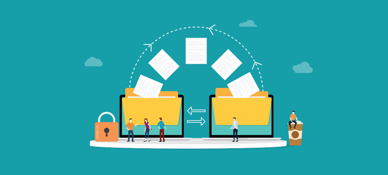 steps to minimize downtime during wordpress migration - Seahawk Steps to Ensure Minimal Downtime During WordPress Migration