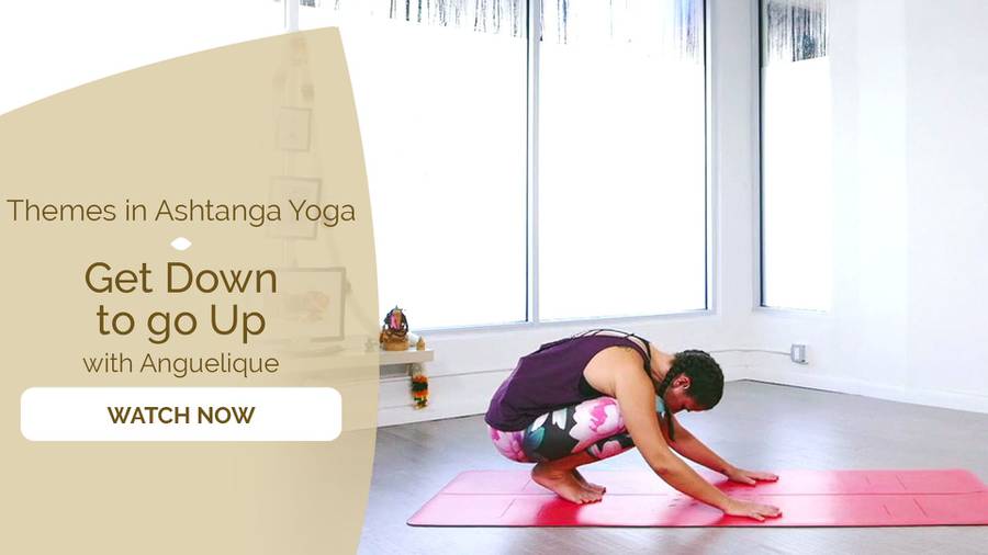 Ashtanga - Seahawk Ashtanga - Yoga Studio Theme