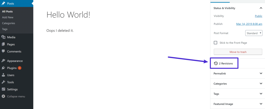 Screenshot Capture - 2024-10-03 - 12-40-05 - Seahawk WordPress-Post-Revision