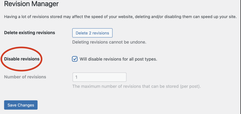 Screenshot Capture - 2024-10-03 - 16-58-31 - Seahawk Disable-WordPress-Post-Revisions?