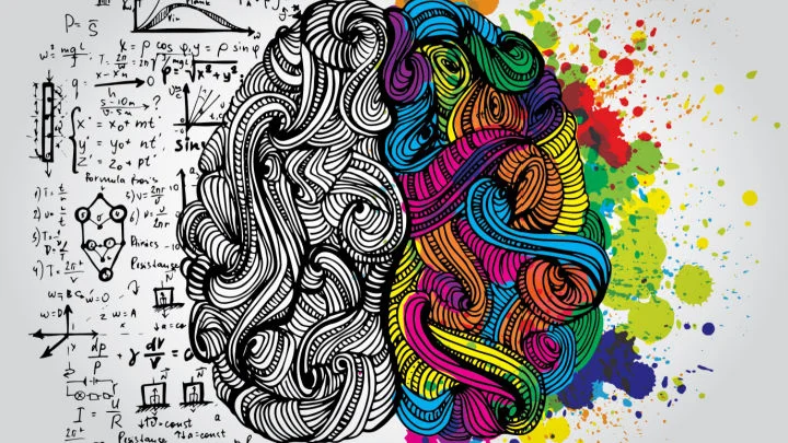What is Design Psychology? - Seahawk