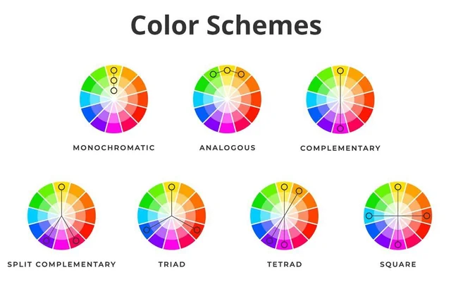 color scheme - Seahawk Choose the Best Color Scheme