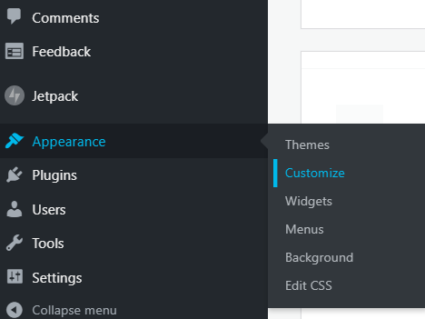using-theme-customizer - Seahawk Using the Theme Customizer