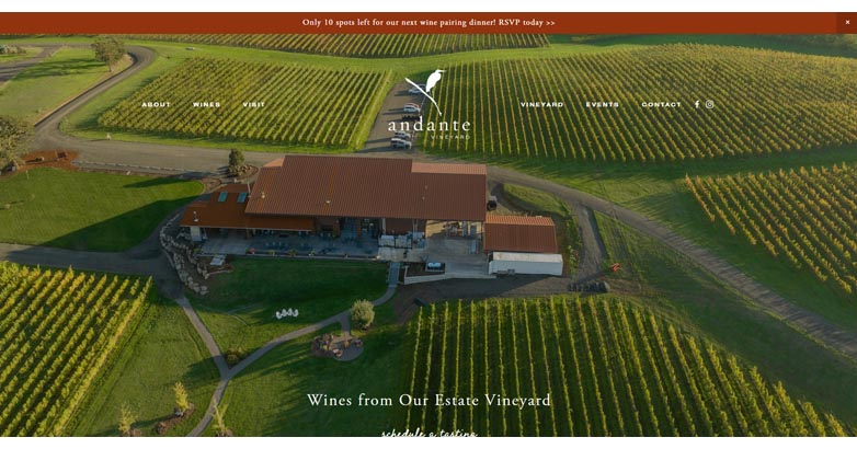 Andante-Vineyard - Seahawk Andante-Vineyard