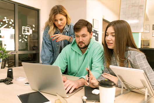Custom, Scalable, and Future-Proof Design - Seahawk custom-directory-websites