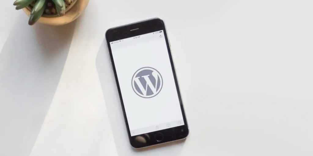 Preparing Your WordPress Site for Web3
