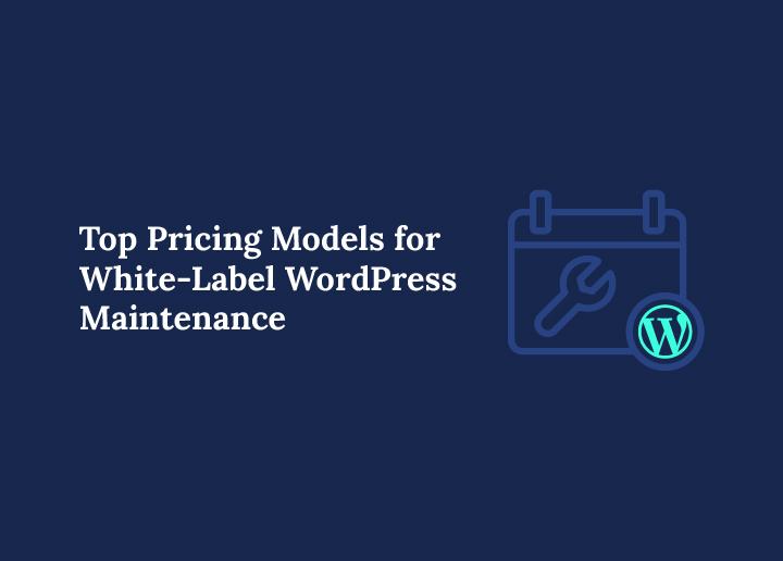 Top Pricing Models for White Label WordPress Maintenance