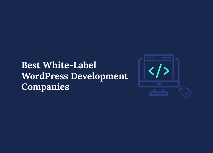best-white-label-wordpress-development-companies