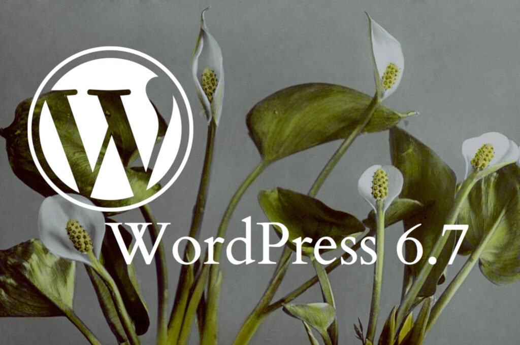 wordpress-6-7-featured-img - Seahawk WordPress 6.7