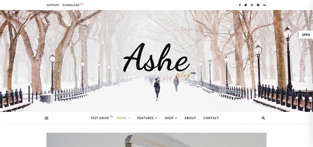 premium feminine wordpress theme - ashe
