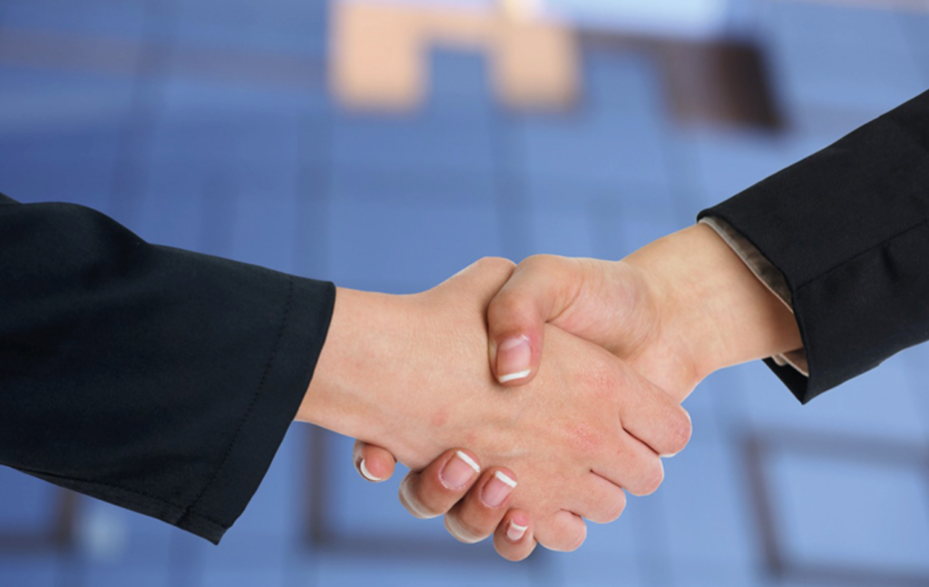 WordPress Partner