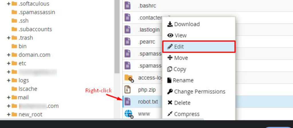 Screenshot Capture - 2024-12-11 - 14-41-33 - Seahawk Editing Robots.txt Using cPanel
