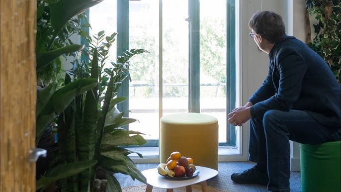 The Business Case for Biophilic Design - Seahawk The Business Case for Biophilic Design