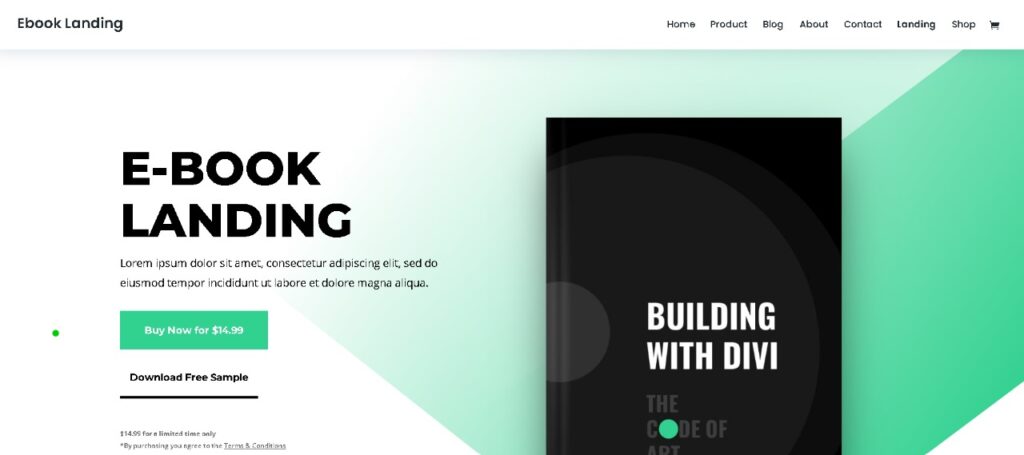 Ebook Best Divi Landing Page Template - Seahawk ebook-divi-landing-page-template