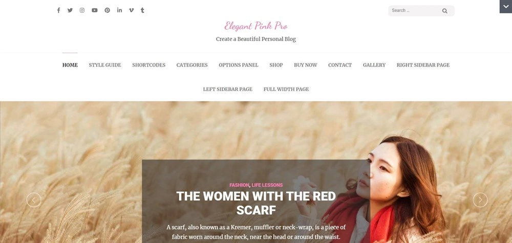 elegant-pink-pro-wordpress-theme.jpg