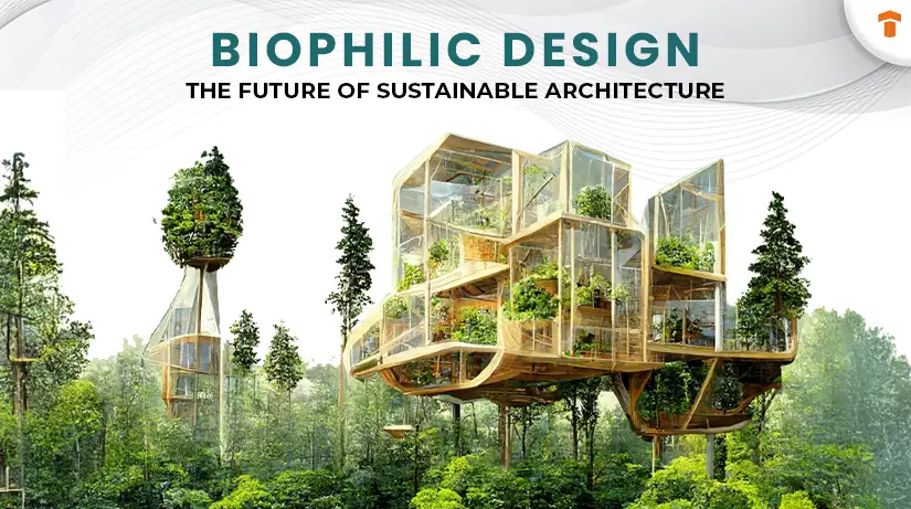 future of biophilic web design - Seahawk future of biophilic web design