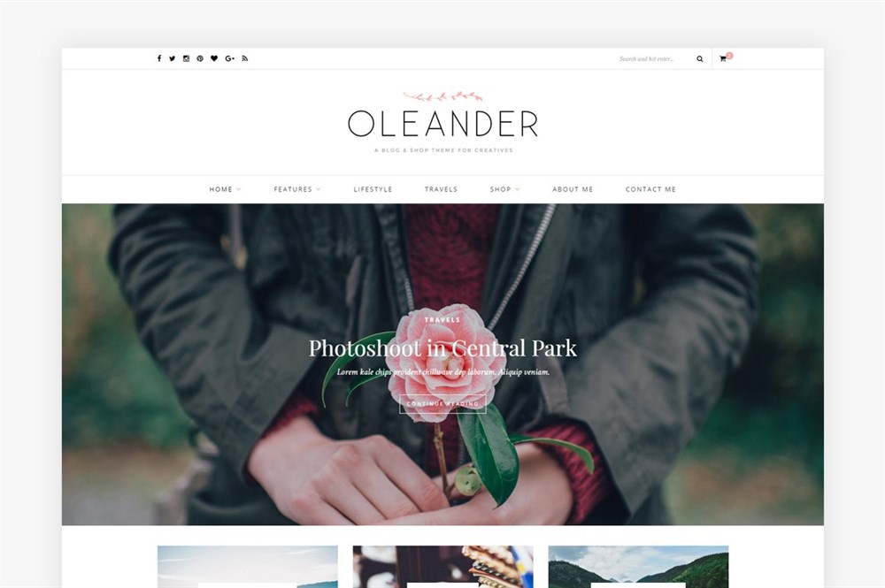 Oleander feminine theme for wordpress