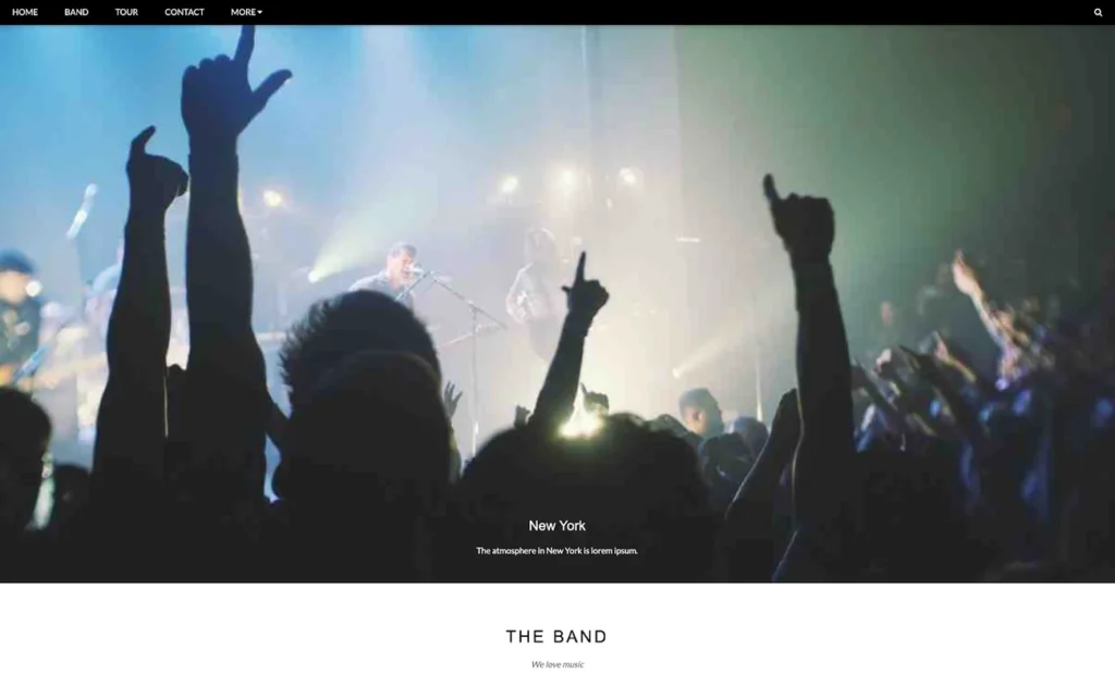 responsive website-design- templates - Seahawk Band - responsive website design template