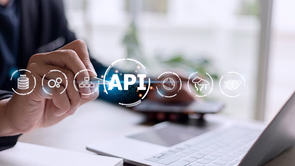 API Vs White Label - Seahawk API Vs White Label