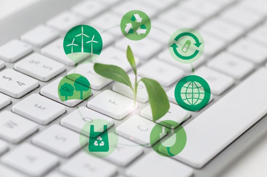 eco-friendly-search-engine - Seahawk eco-friendly-search-engine