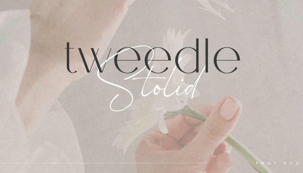 Tweedle and Stolid soft font - Seahawk Tweedle and Stolid Font