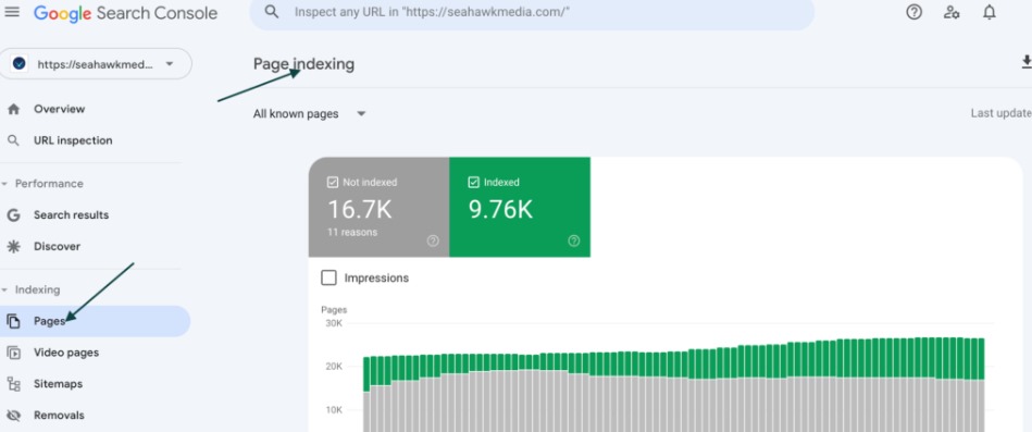 GSC-New reason-preventing-your-page-from-being-indexed