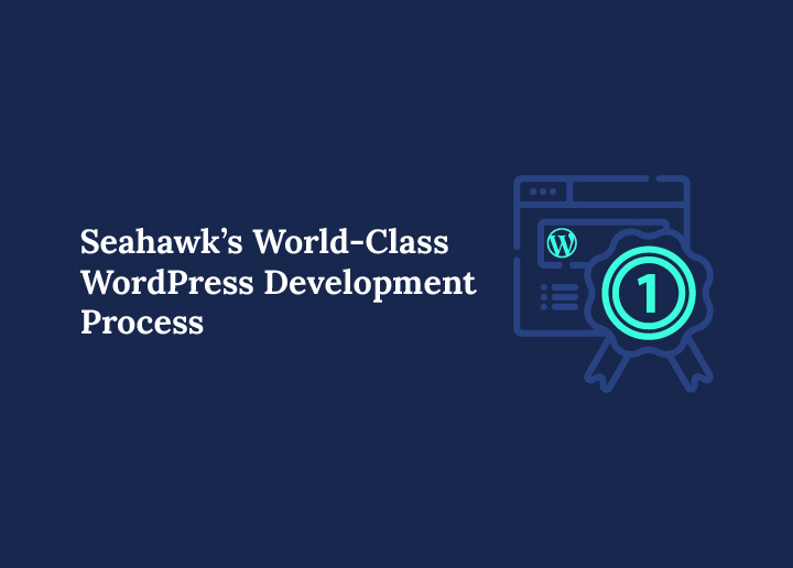Seahawk’s World-Class WordPress Development Process: What Sets Us Apart