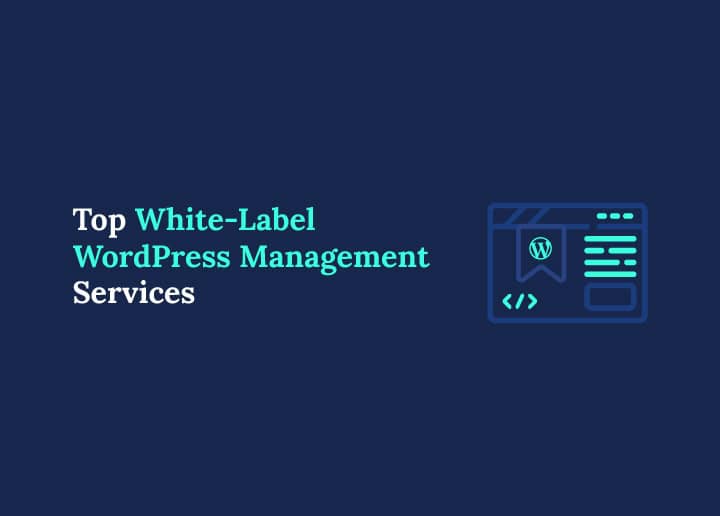 Top White-Label WordPress Management Services