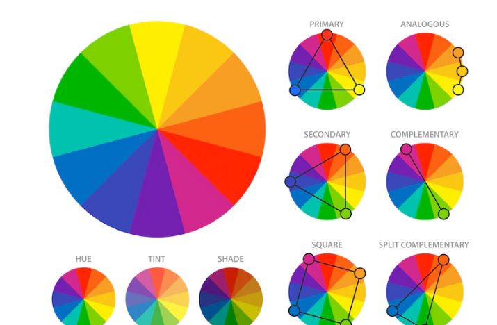 Different Colors Evoke Specific Emotions - Seahawk Different Colors Evoke Specific Emotions