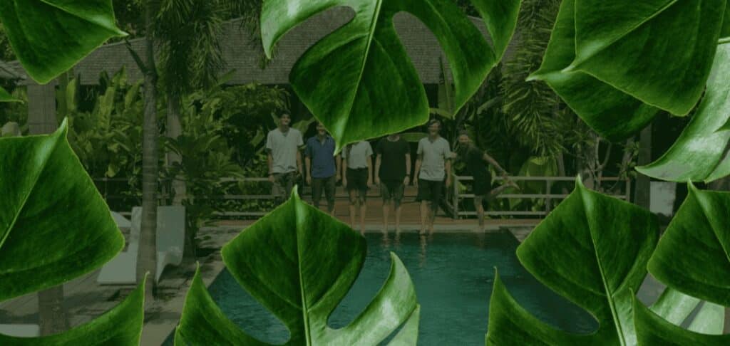Green Muted Color Combinations