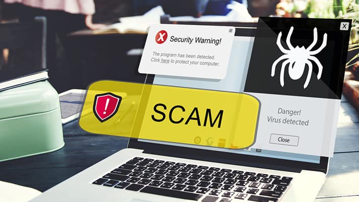 fake designer websites