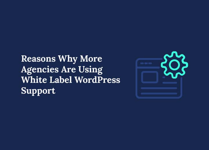 Reasons Why More Agencies Are Using White Label WordPress Support