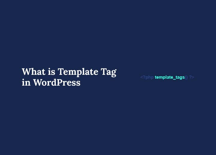 Template Tag in WordPress